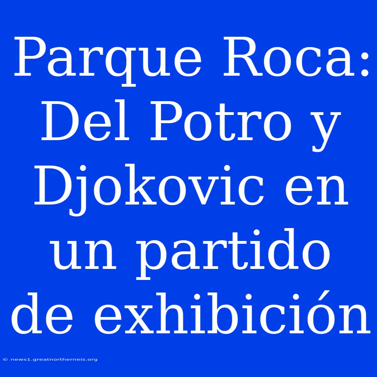 Parque Roca: Del Potro Y Djokovic En Un Partido De Exhibición