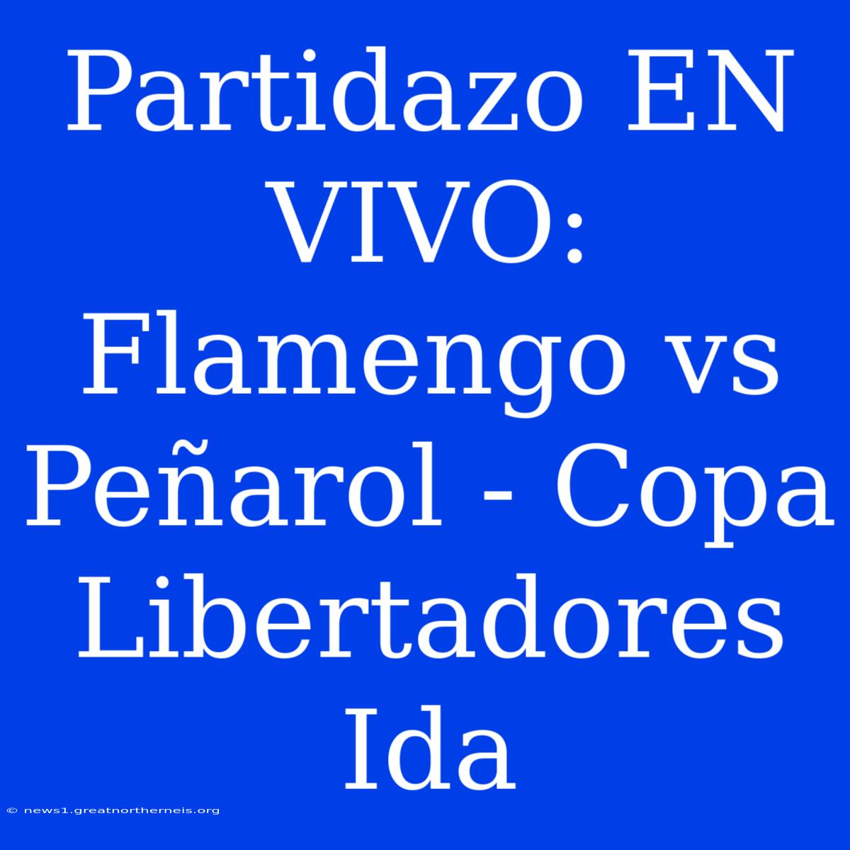 Partidazo EN VIVO: Flamengo Vs Peñarol - Copa Libertadores Ida