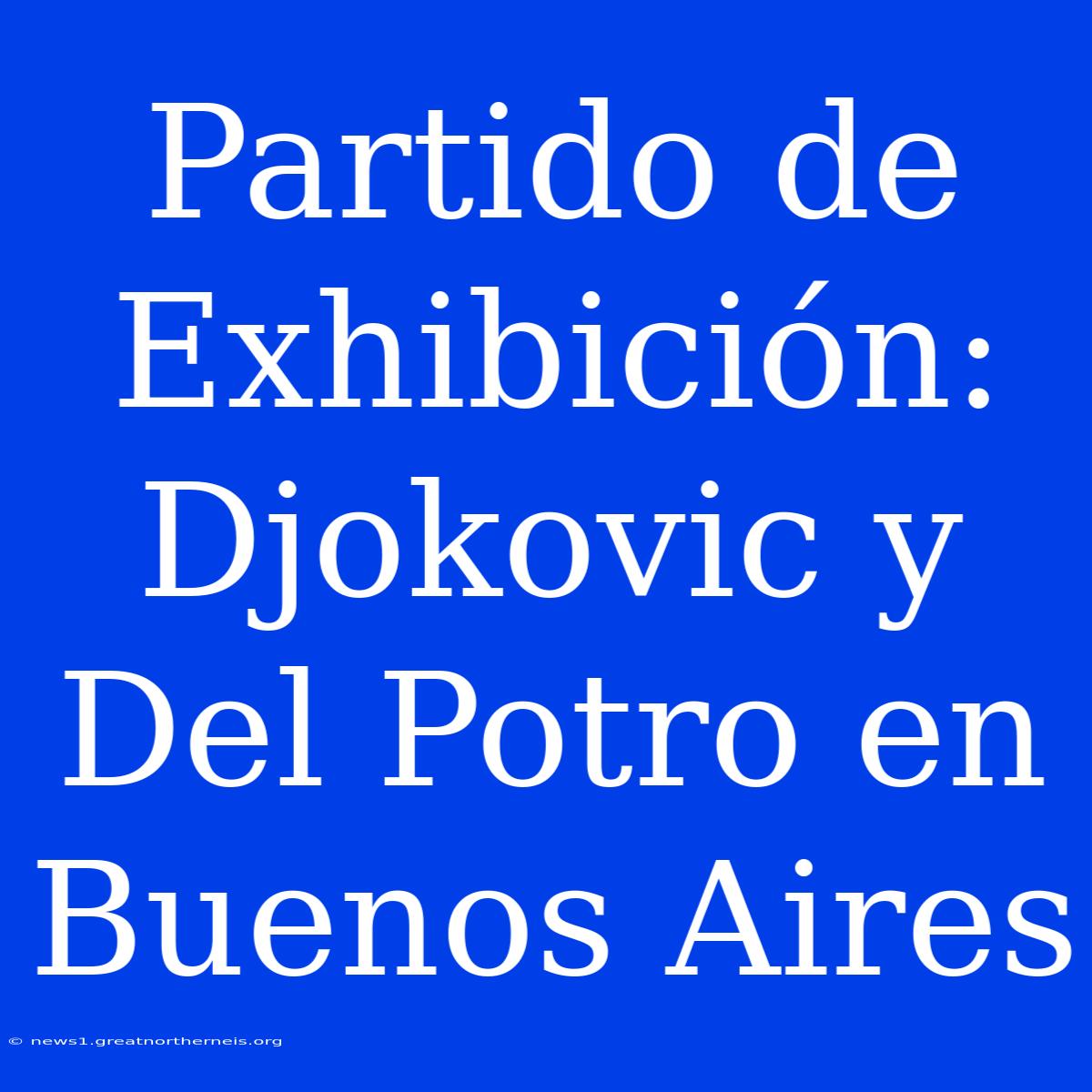 Partido De Exhibición: Djokovic Y Del Potro En Buenos Aires