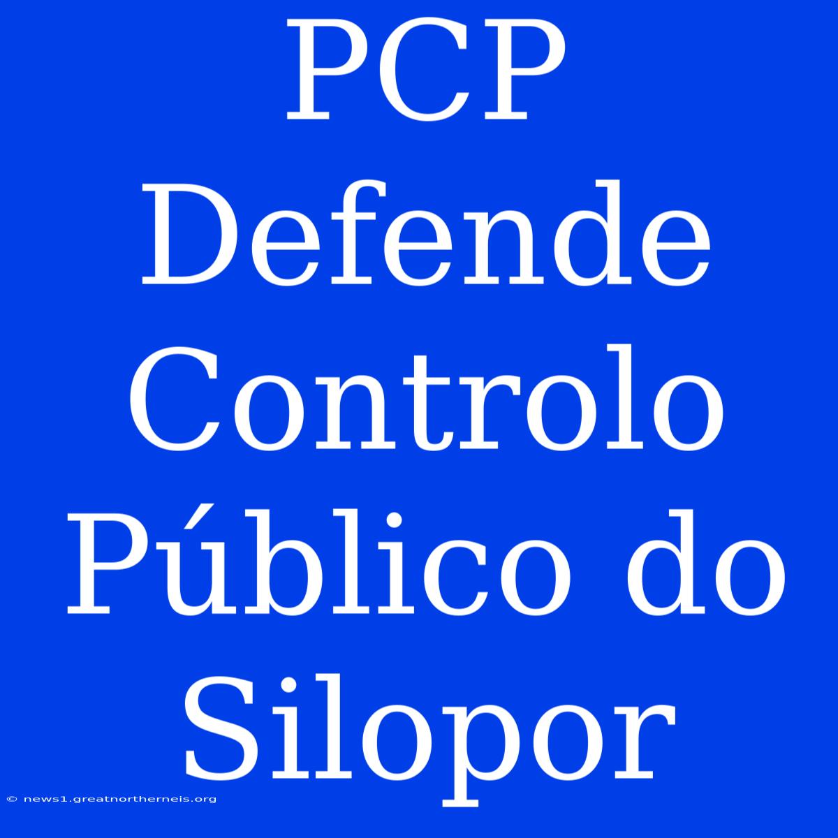 PCP Defende Controlo Público Do Silopor