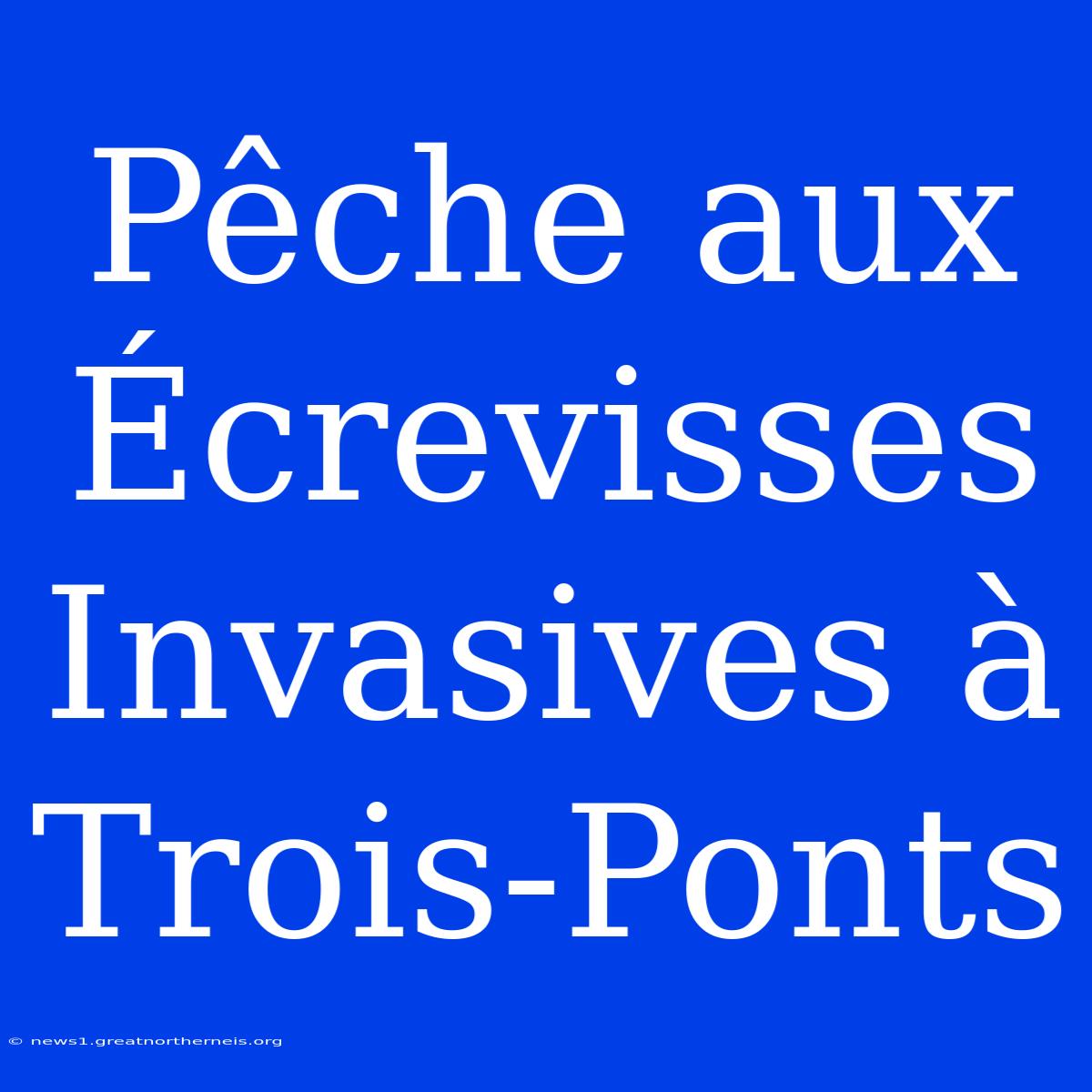 Pêche Aux Écrevisses Invasives À Trois-Ponts