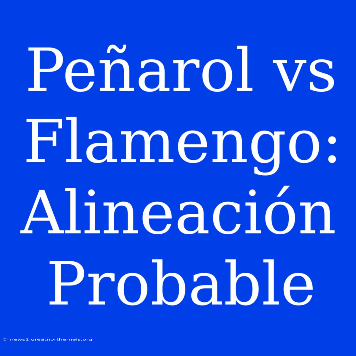 Peñarol Vs Flamengo: Alineación Probable