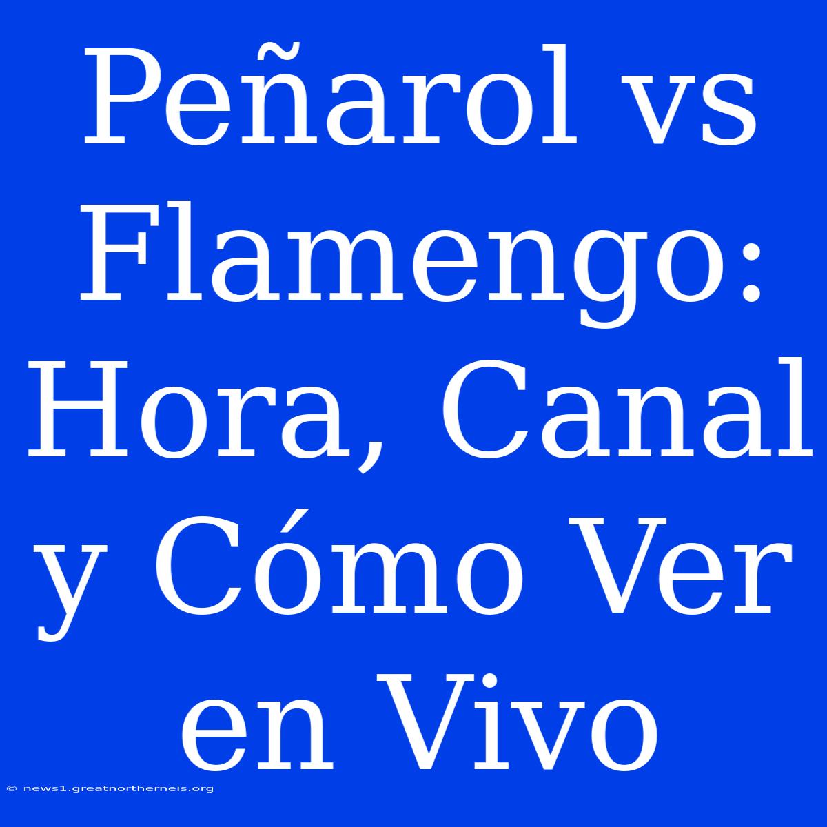 Peñarol Vs Flamengo: Hora, Canal Y Cómo Ver En Vivo