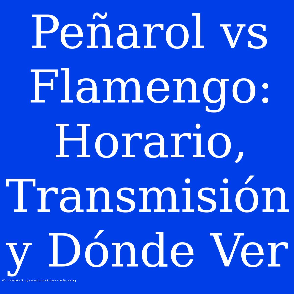 Peñarol Vs Flamengo: Horario, Transmisión Y Dónde Ver