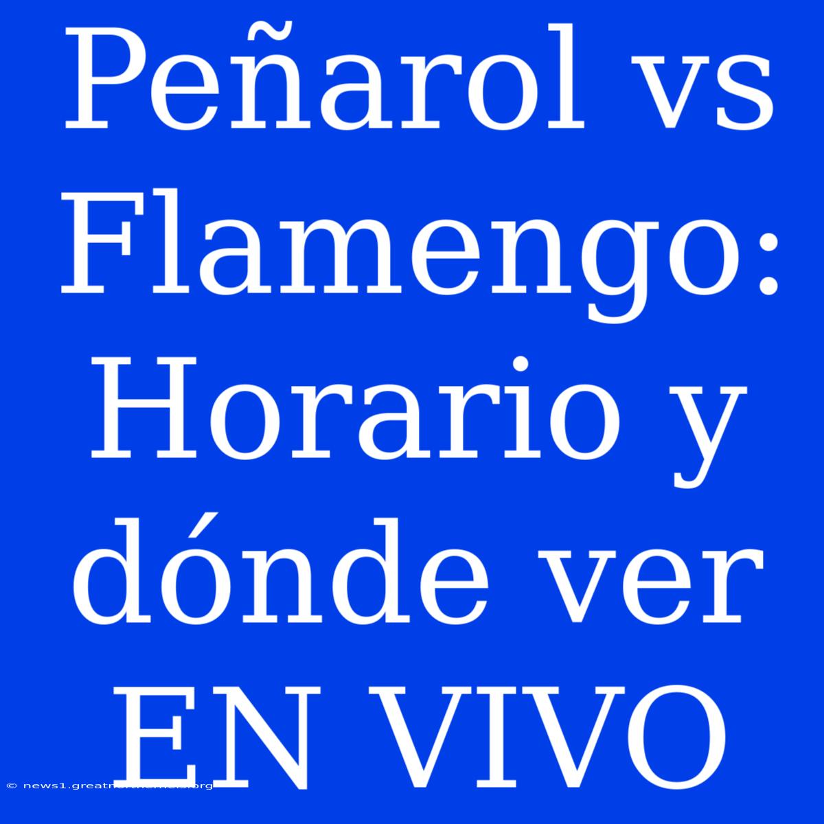 Peñarol Vs Flamengo: Horario Y Dónde Ver EN VIVO