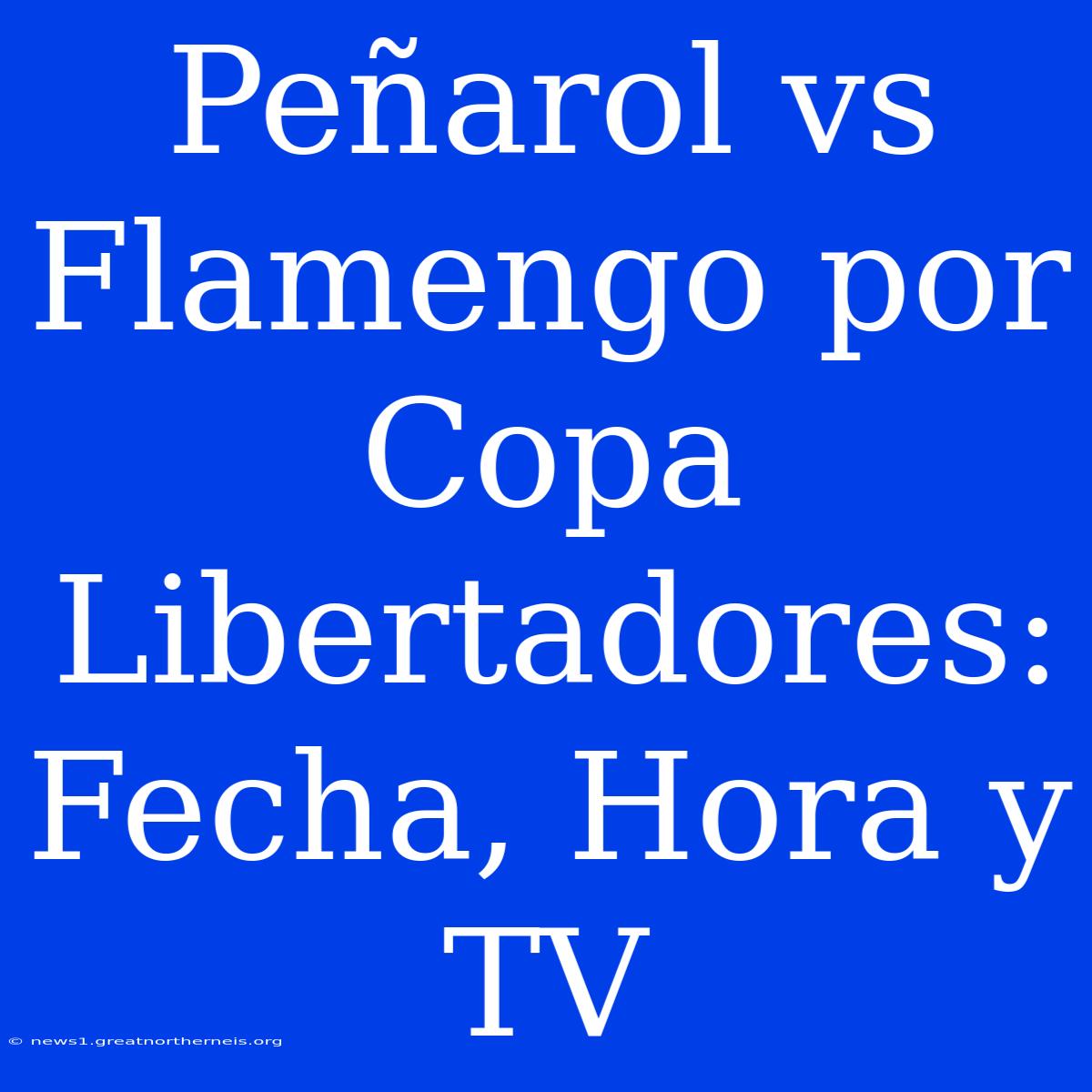 Peñarol Vs Flamengo Por Copa Libertadores: Fecha, Hora Y TV