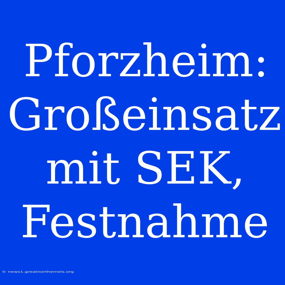 Pforzheim: Großeinsatz Mit SEK, Festnahme