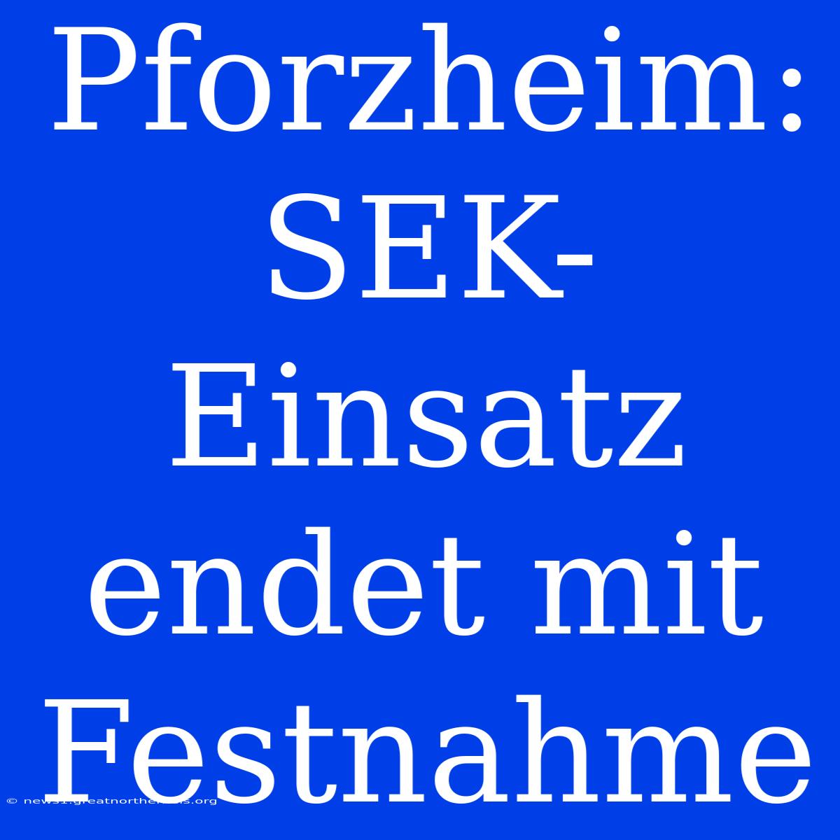 Pforzheim: SEK-Einsatz Endet Mit Festnahme