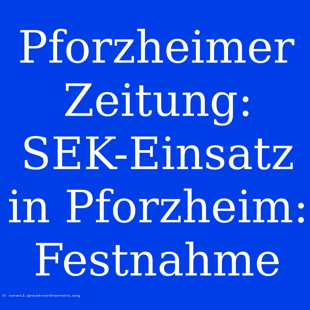 Pforzheimer Zeitung: SEK-Einsatz In Pforzheim: Festnahme