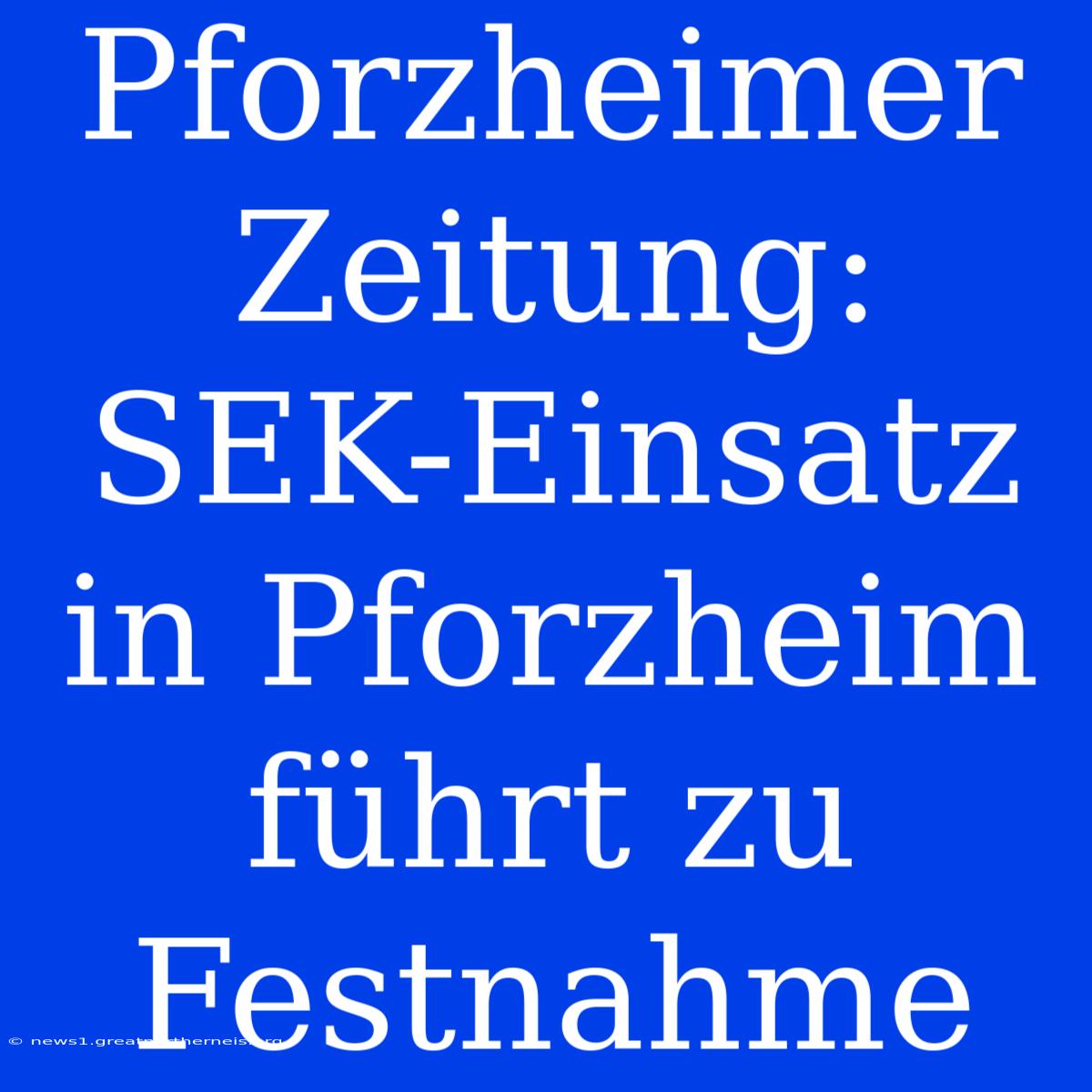 Pforzheimer Zeitung: SEK-Einsatz In Pforzheim Führt Zu Festnahme