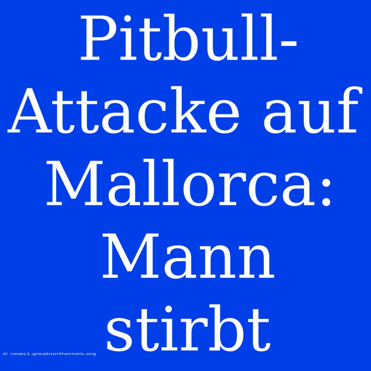 Pitbull-Attacke Auf Mallorca: Mann Stirbt