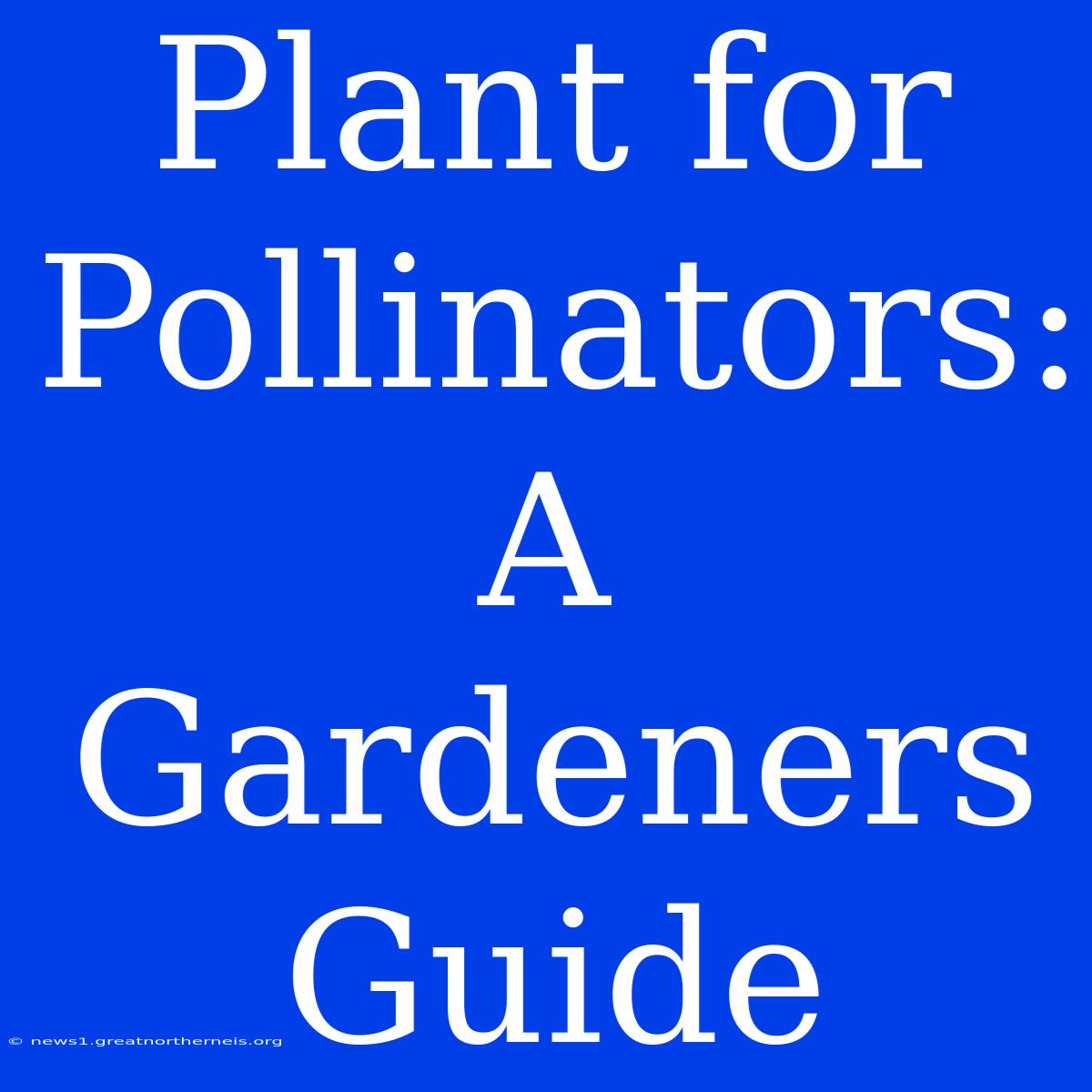 Plant For Pollinators: A Gardeners Guide