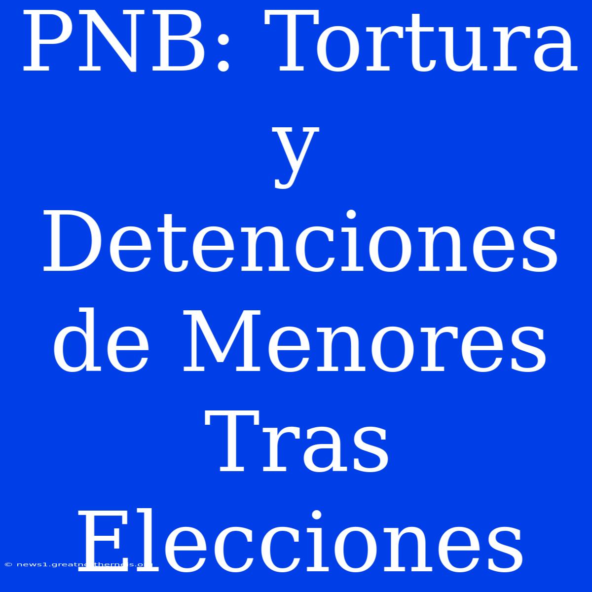 PNB: Tortura Y Detenciones De Menores Tras Elecciones