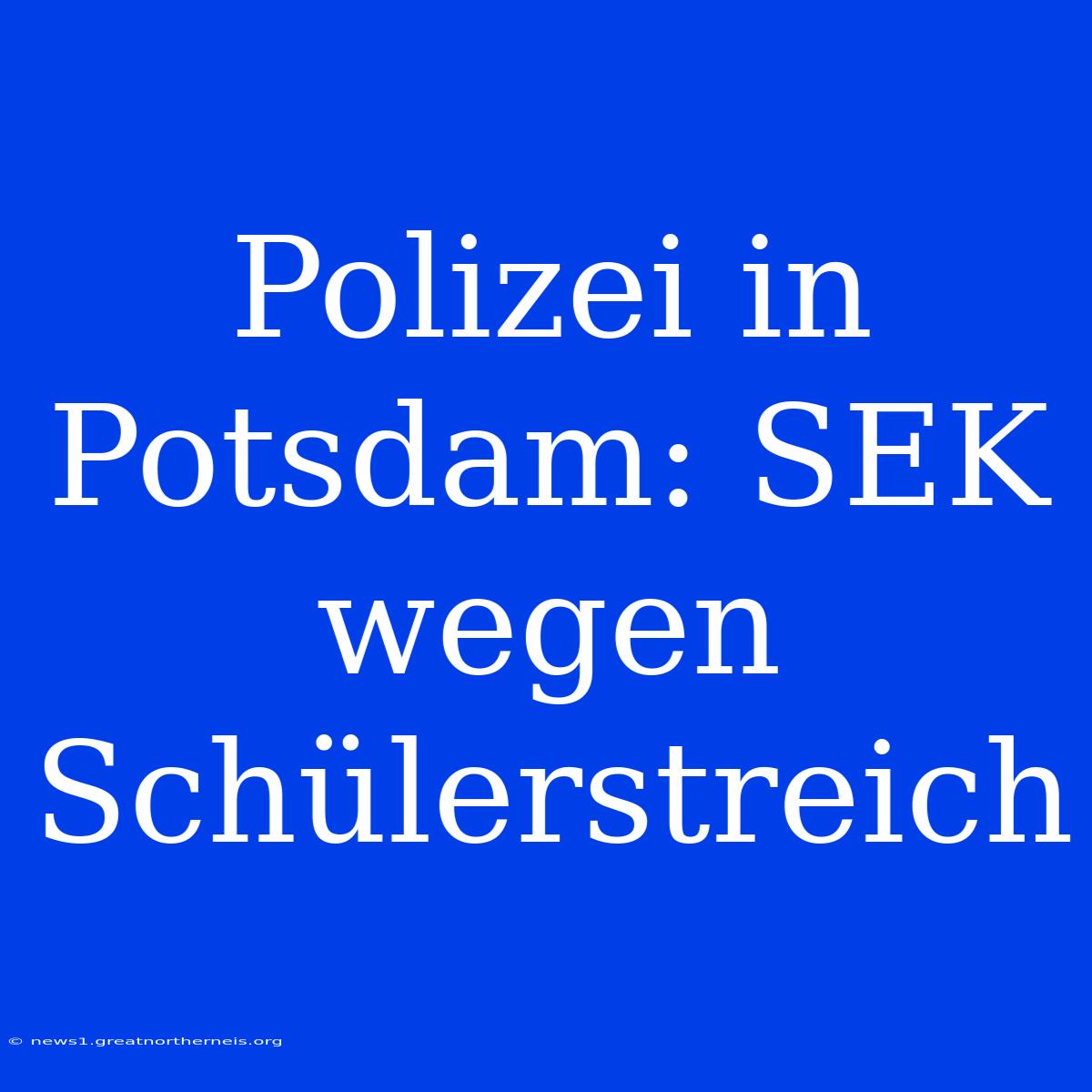 Polizei In Potsdam: SEK Wegen Schülerstreich