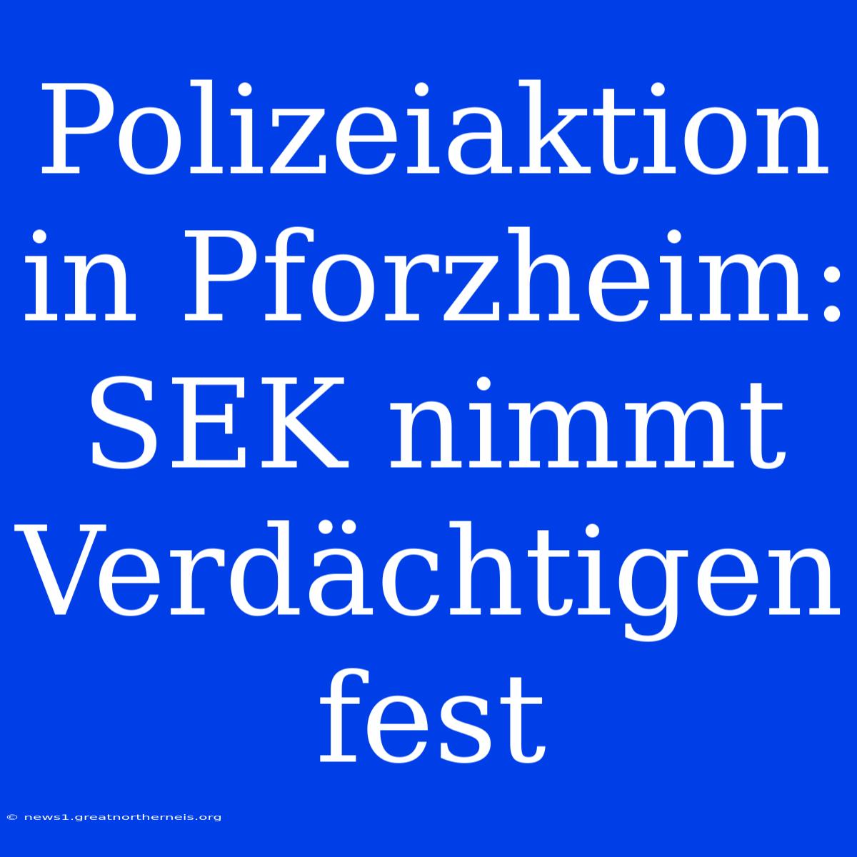 Polizeiaktion In Pforzheim: SEK Nimmt Verdächtigen Fest