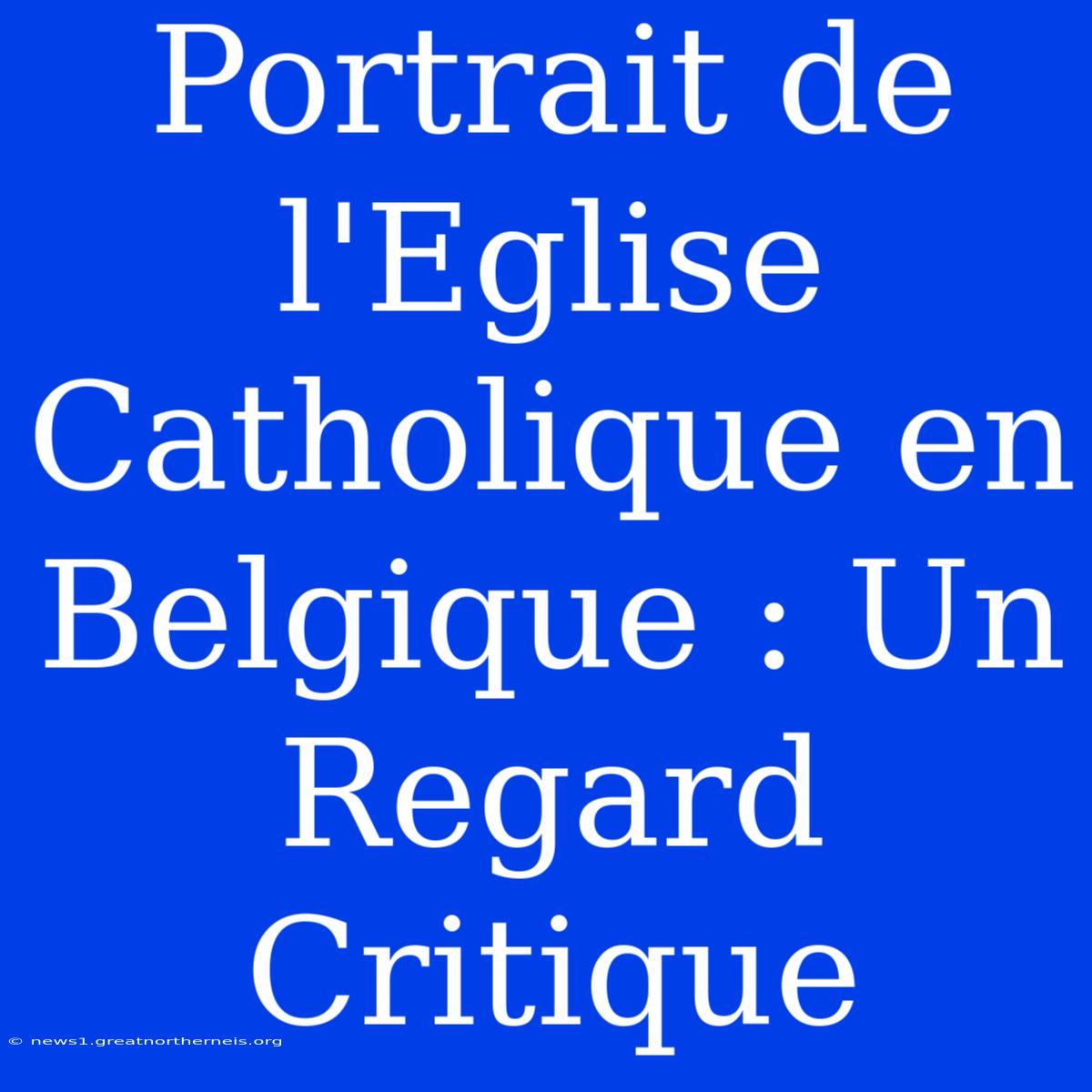 Portrait De L'Eglise Catholique En Belgique : Un Regard Critique