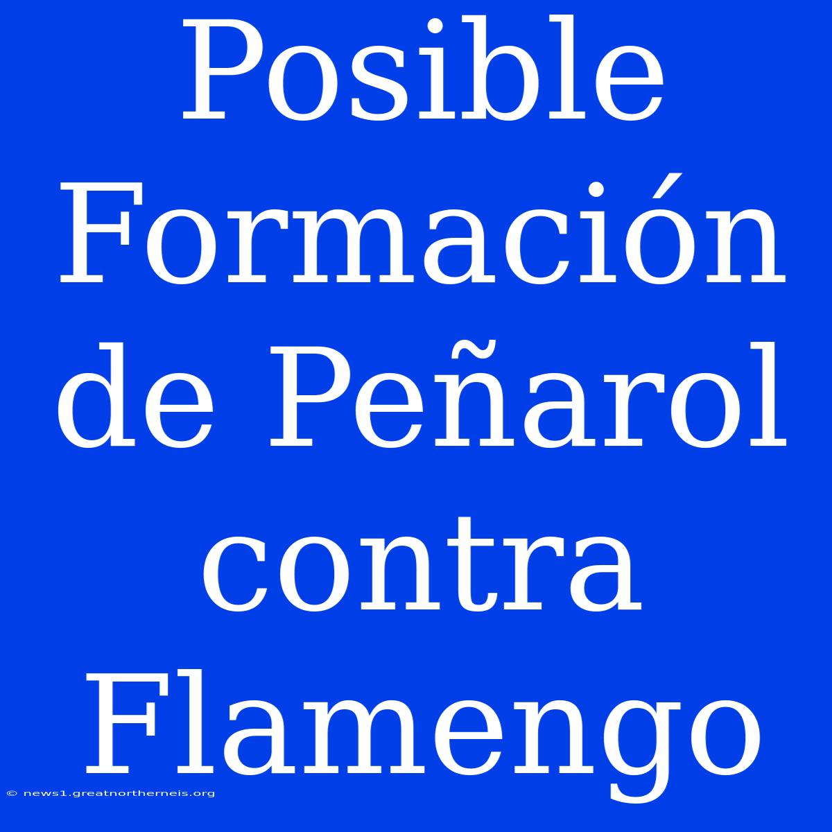 Posible Formación De Peñarol Contra Flamengo