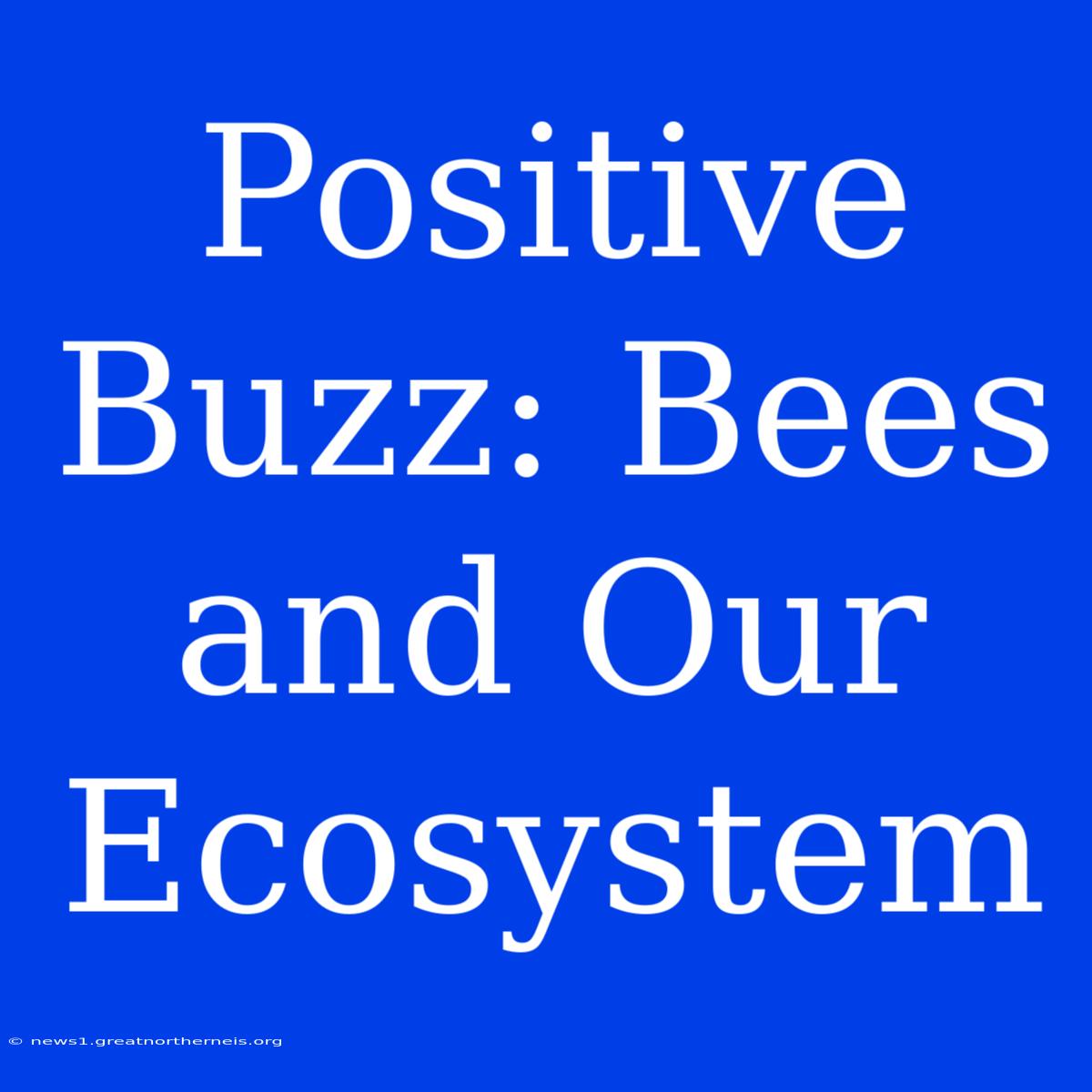 Positive Buzz: Bees And Our Ecosystem