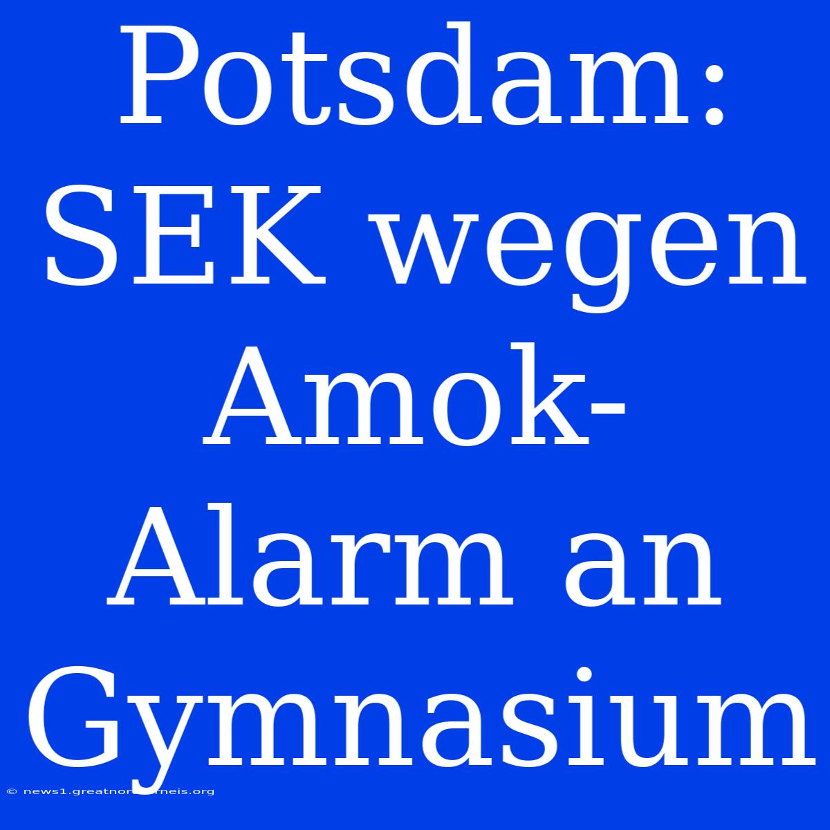 Potsdam: SEK Wegen Amok-Alarm An Gymnasium