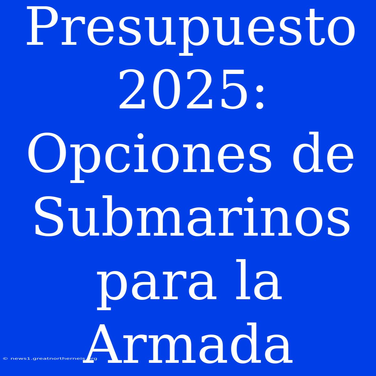 Presupuesto 2025: Opciones De Submarinos Para La Armada