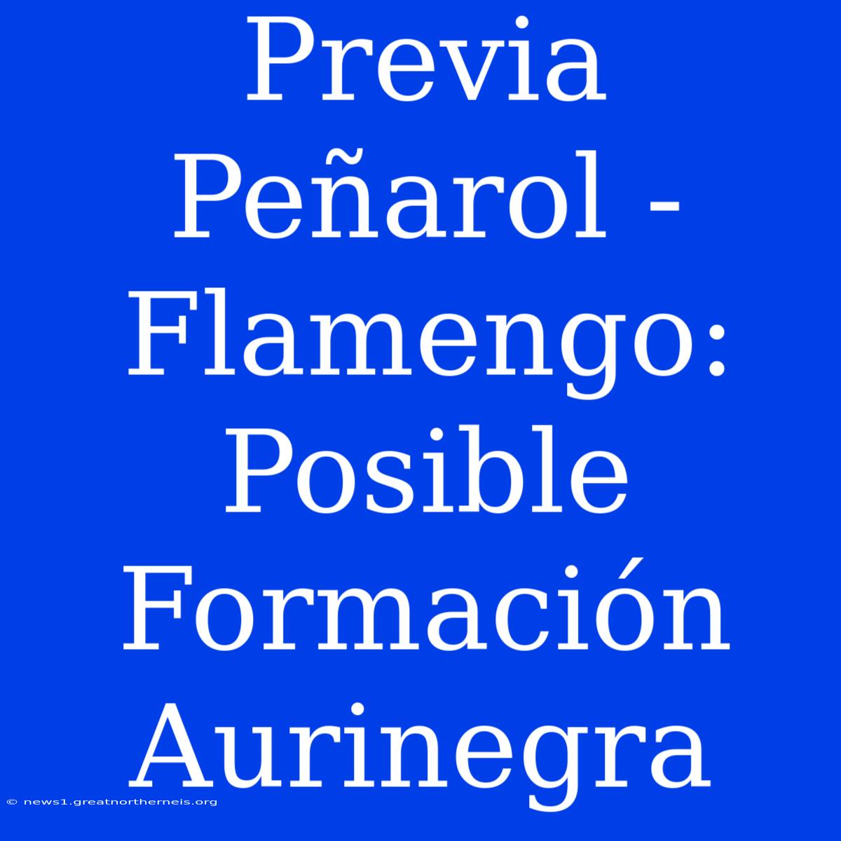 Previa Peñarol - Flamengo: Posible Formación Aurinegra