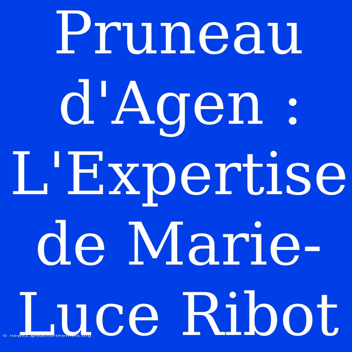 Pruneau D'Agen : L'Expertise De Marie-Luce Ribot