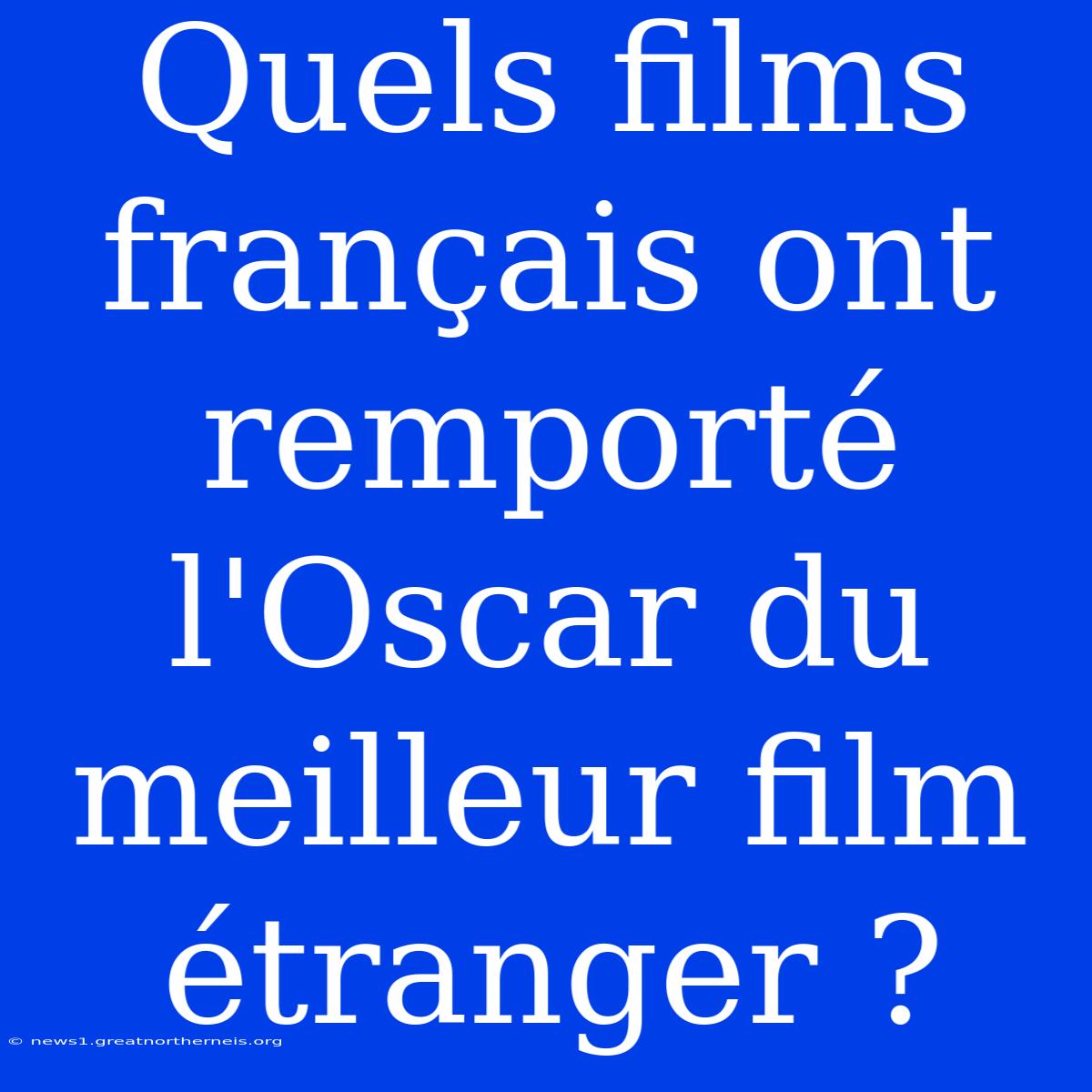 Quels Films Français Ont Remporté L'Oscar Du Meilleur Film Étranger ?