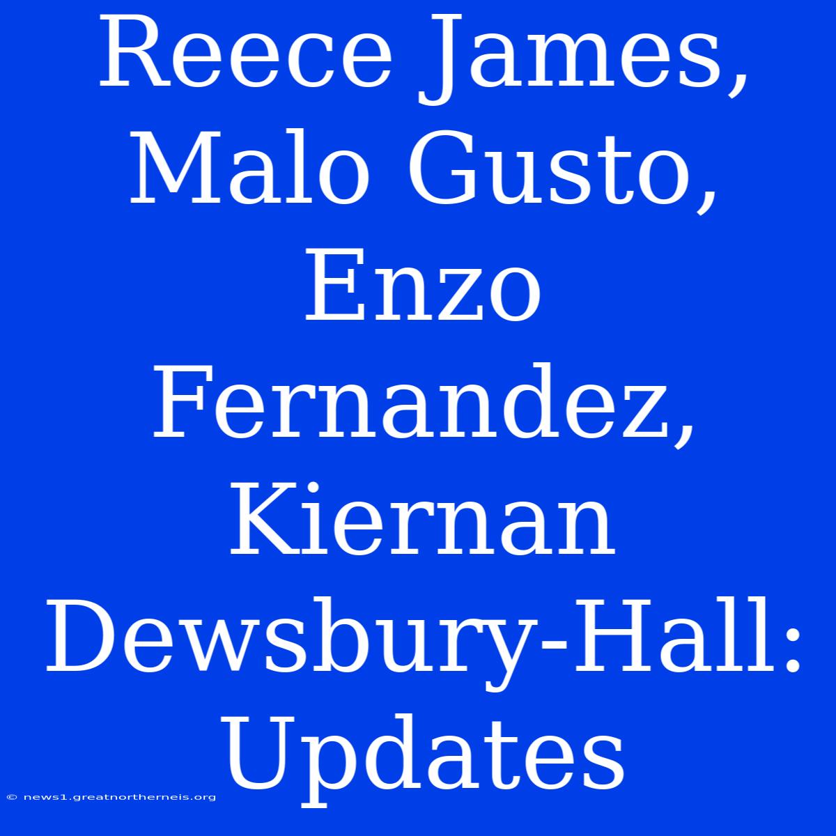 Reece James, Malo Gusto, Enzo Fernandez, Kiernan Dewsbury-Hall: Updates