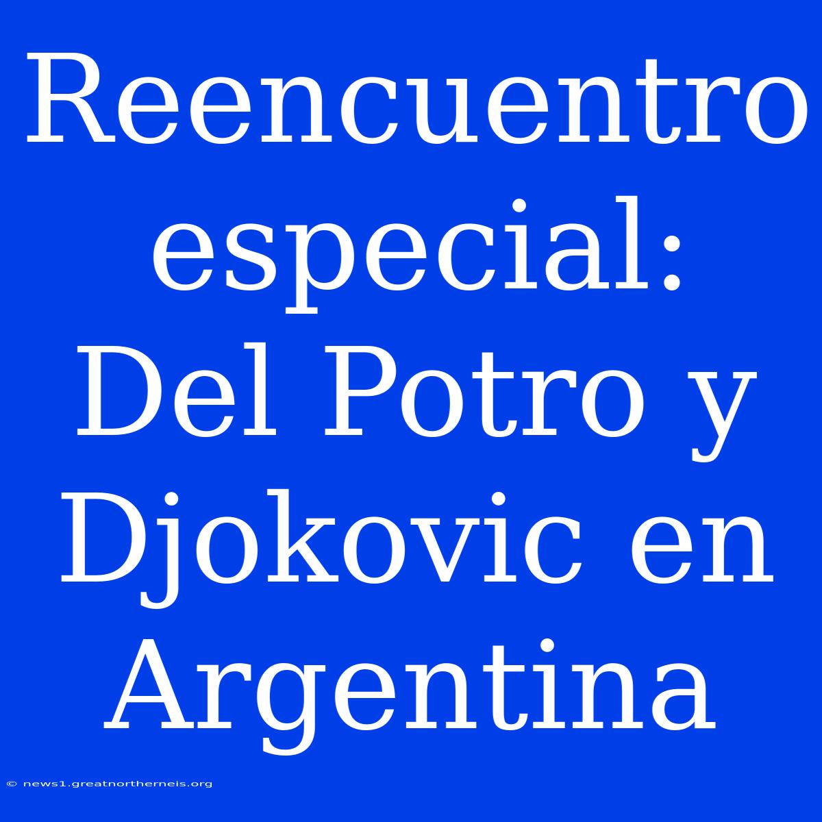 Reencuentro Especial: Del Potro Y Djokovic En Argentina