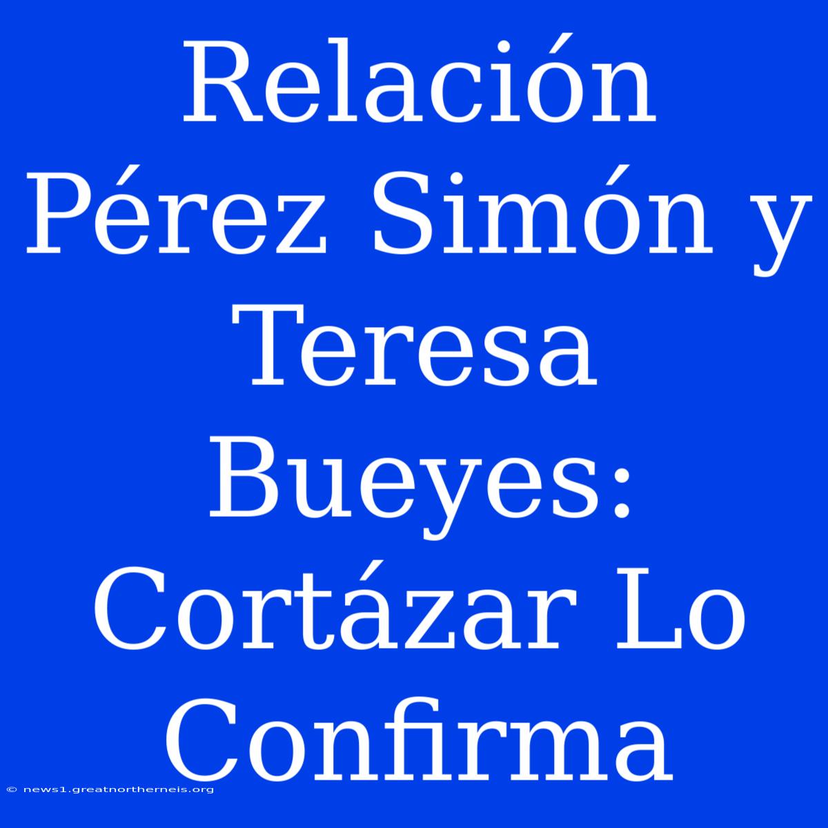 Relación Pérez Simón Y Teresa Bueyes: Cortázar Lo Confirma