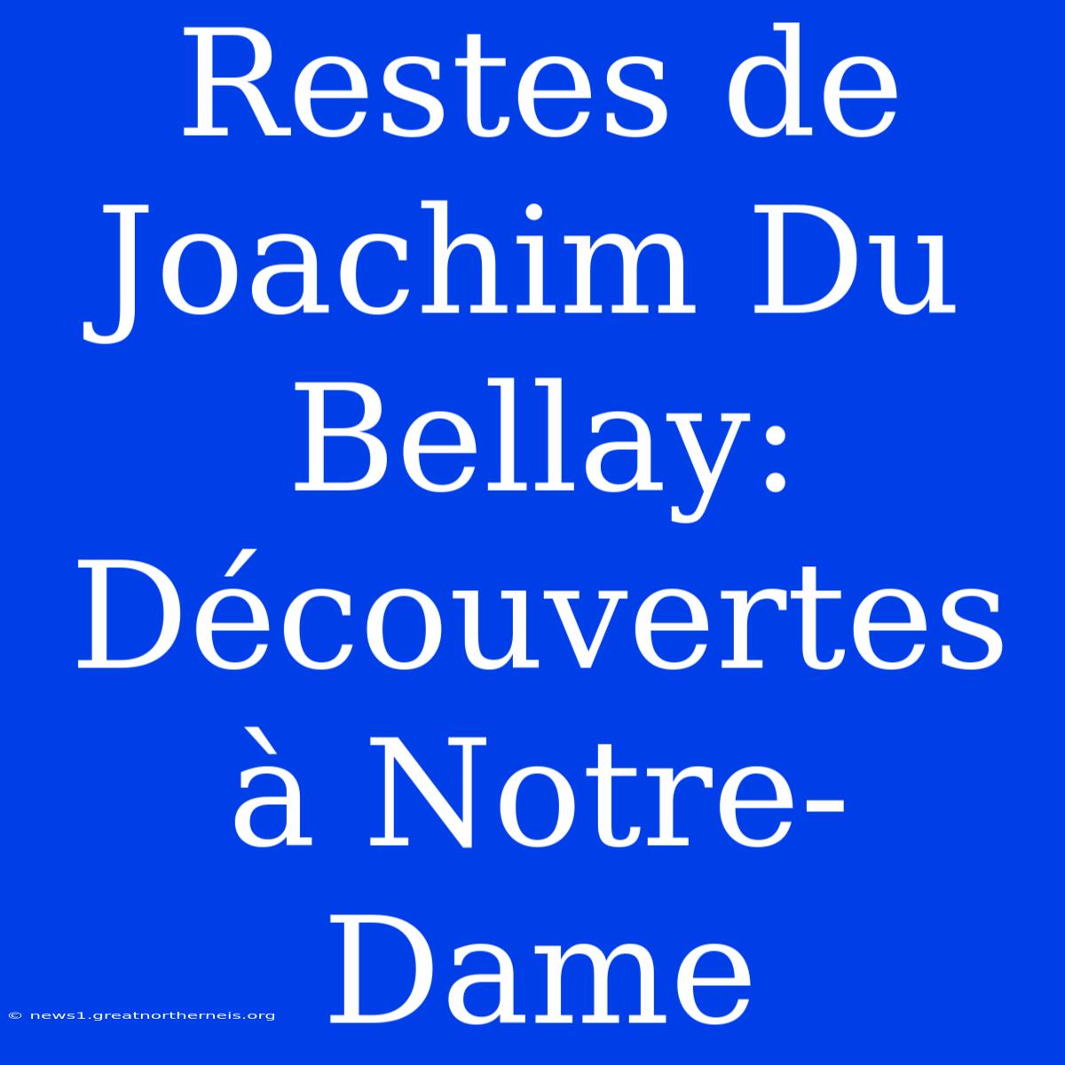 Restes De Joachim Du Bellay: Découvertes À Notre-Dame