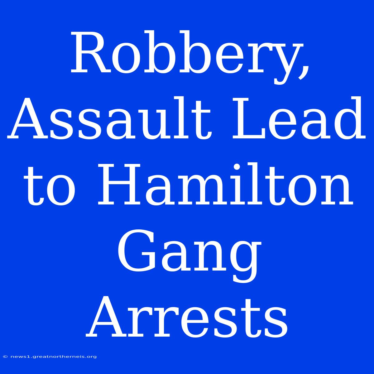 Robbery, Assault Lead To Hamilton Gang Arrests