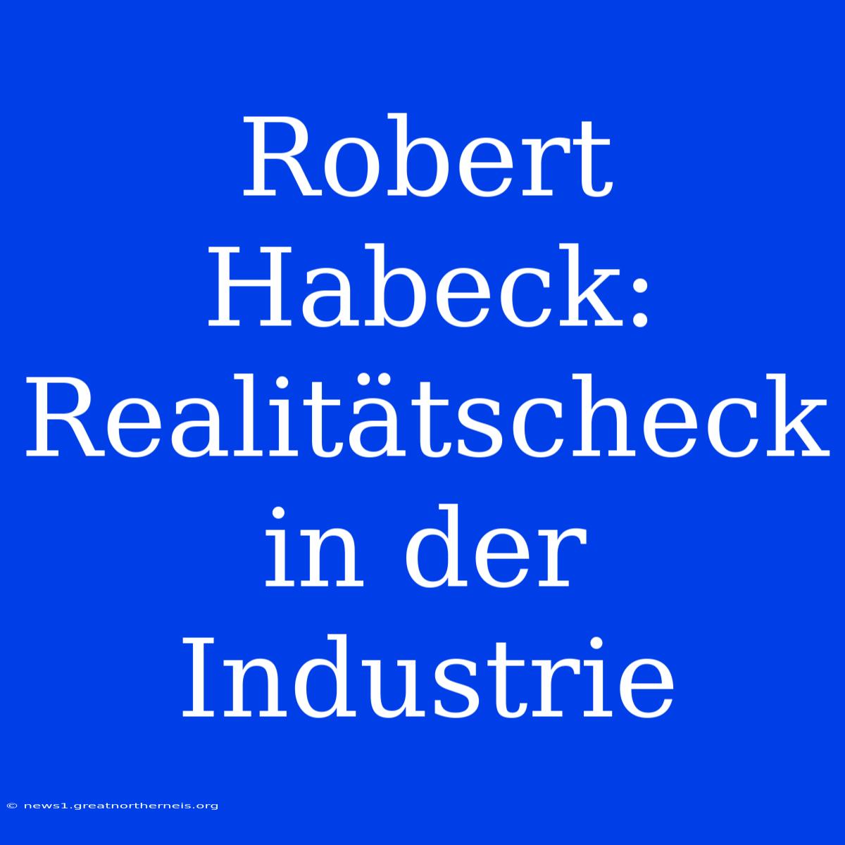 Robert Habeck: Realitätscheck In Der Industrie