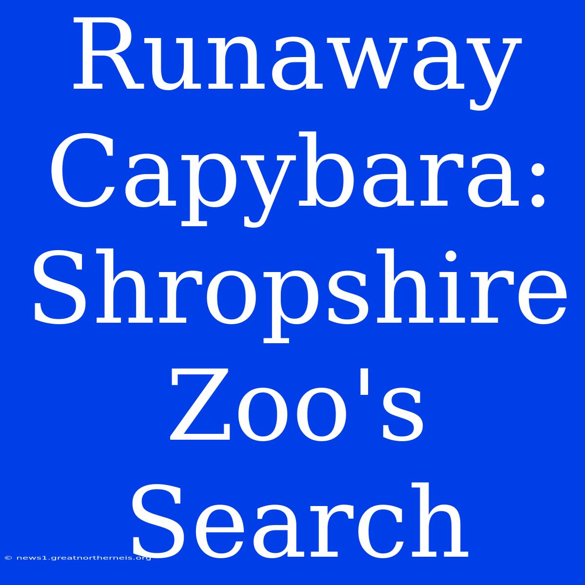 Runaway Capybara: Shropshire Zoo's Search