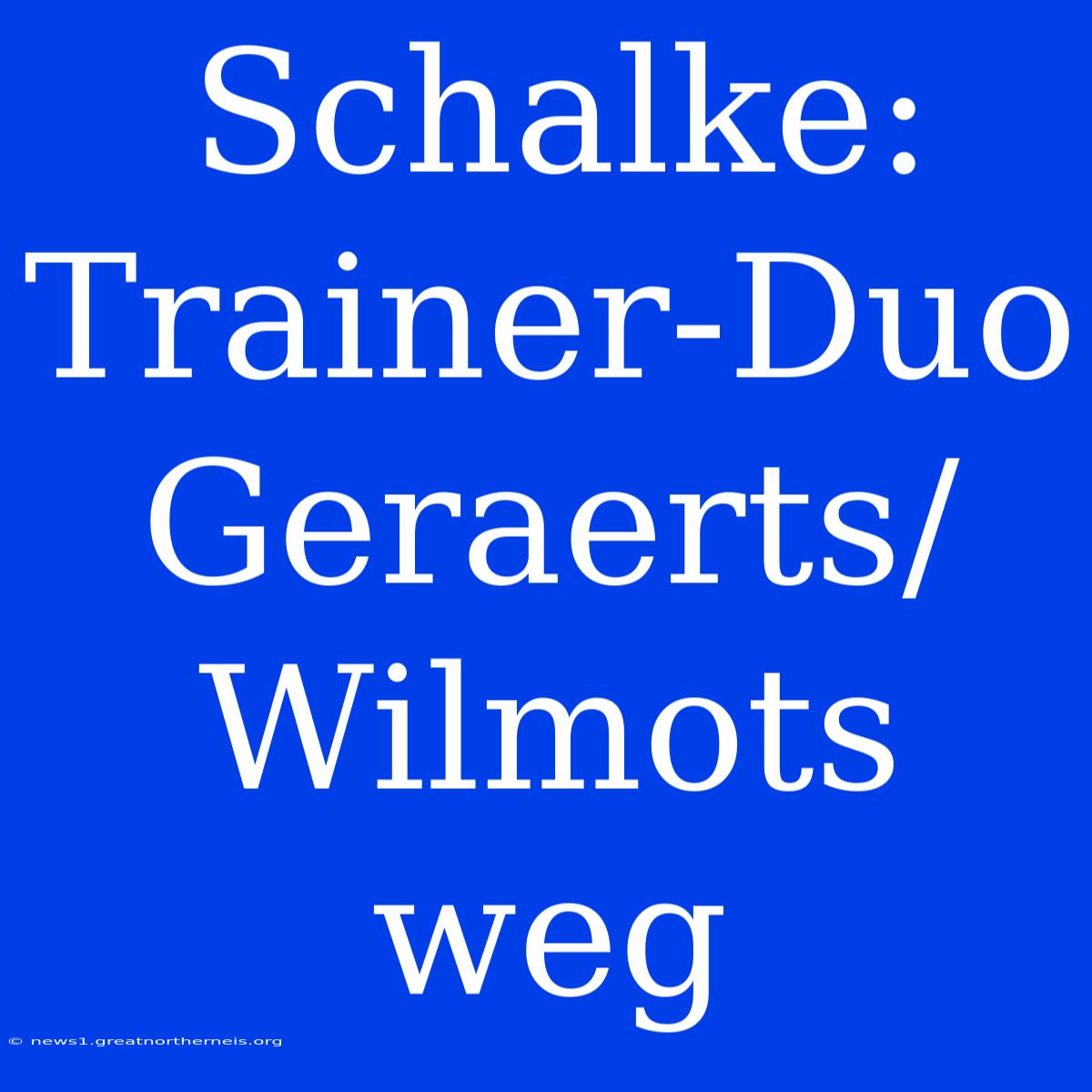 Schalke: Trainer-Duo Geraerts/Wilmots Weg