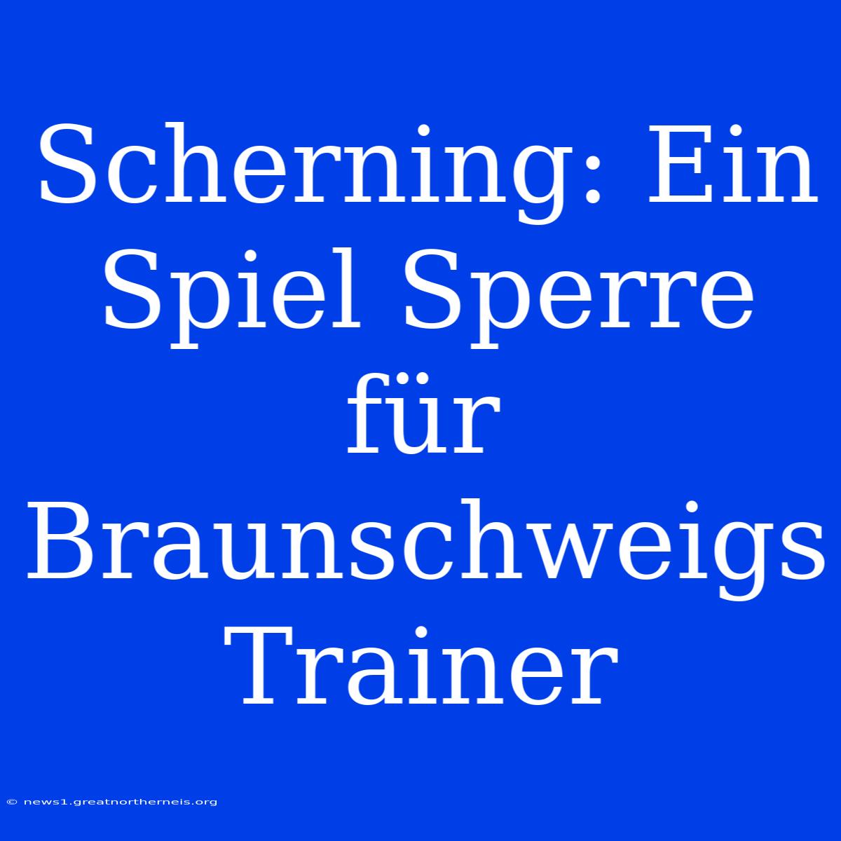 Scherning: Ein Spiel Sperre Für Braunschweigs Trainer