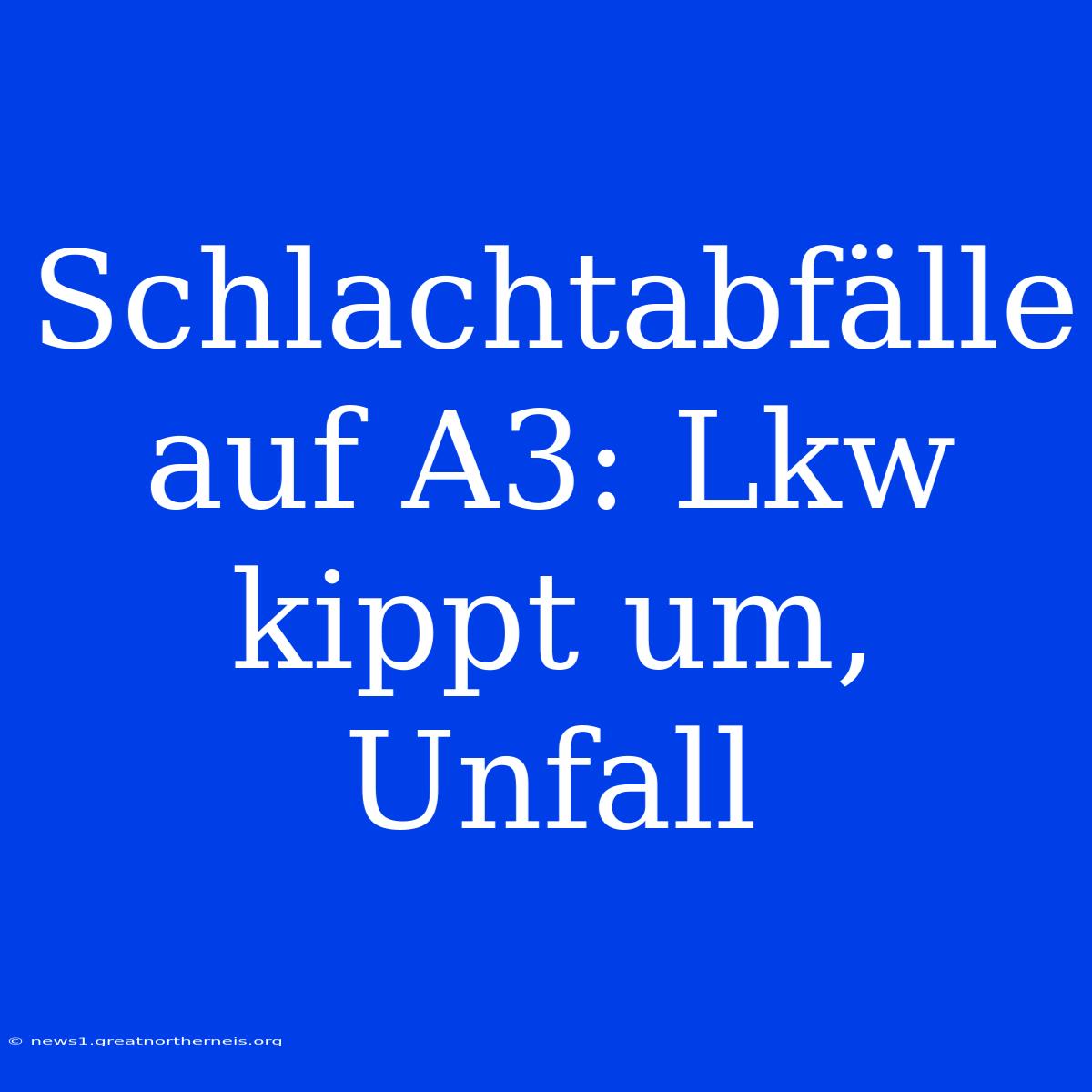 Schlachtabfälle Auf A3: Lkw Kippt Um, Unfall