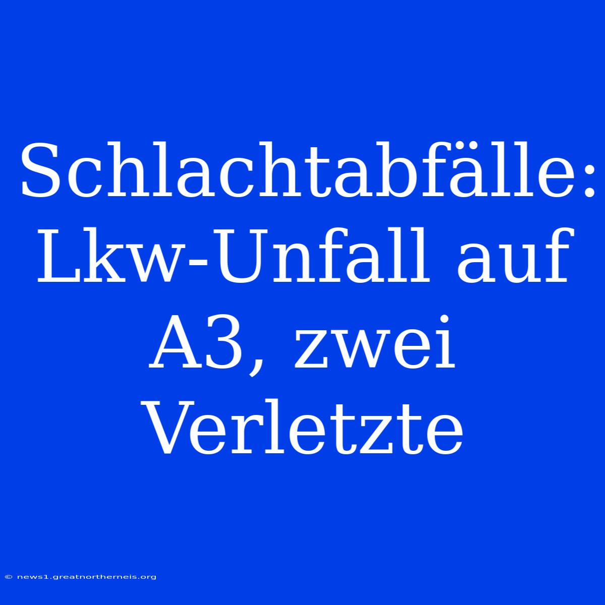 Schlachtabfälle: Lkw-Unfall Auf A3, Zwei Verletzte