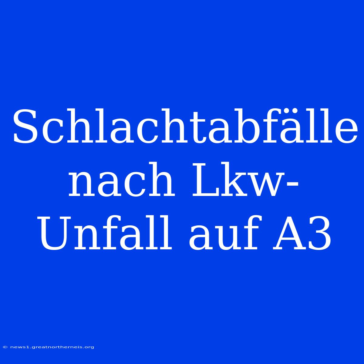 Schlachtabfälle Nach Lkw-Unfall Auf A3