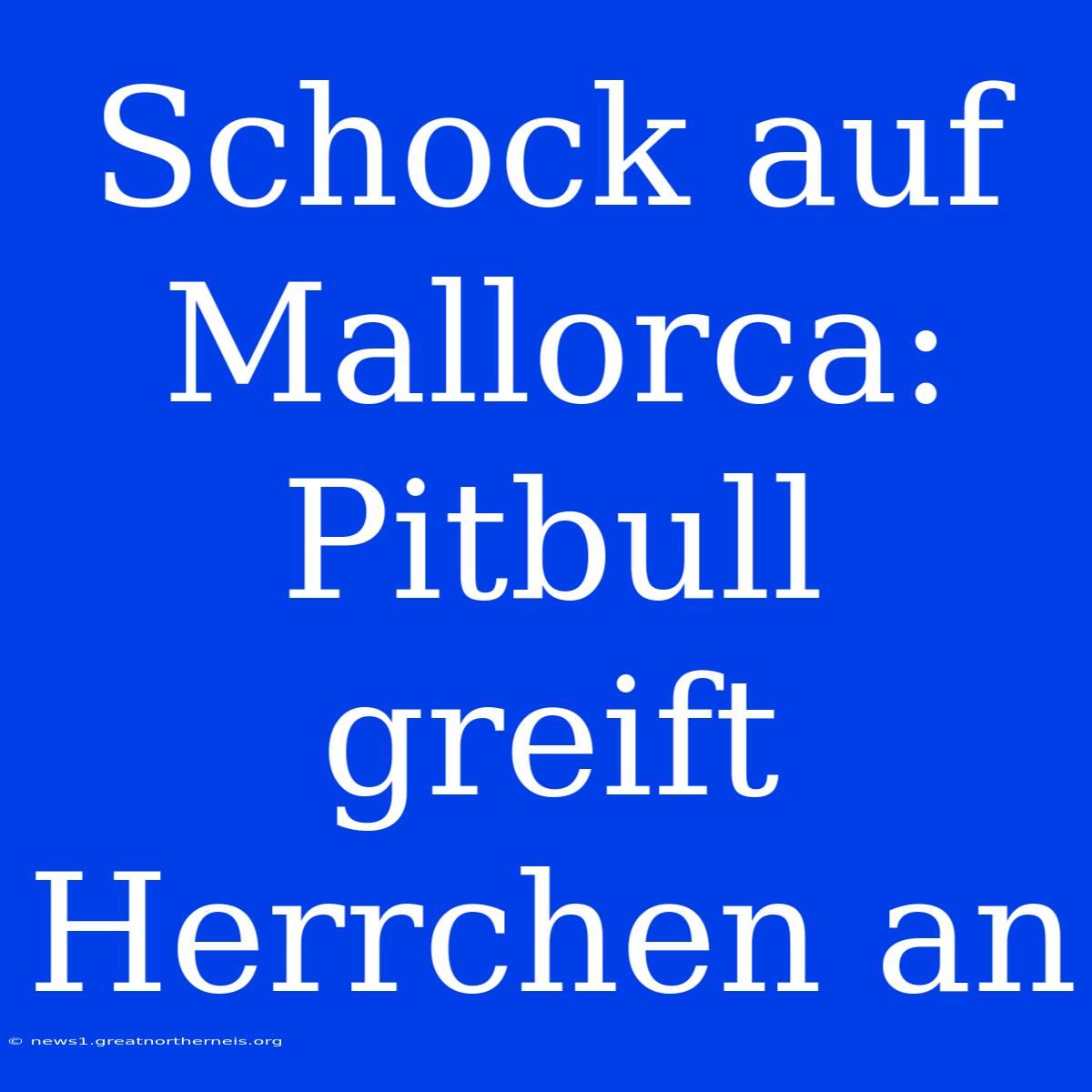 Schock Auf Mallorca: Pitbull Greift Herrchen An