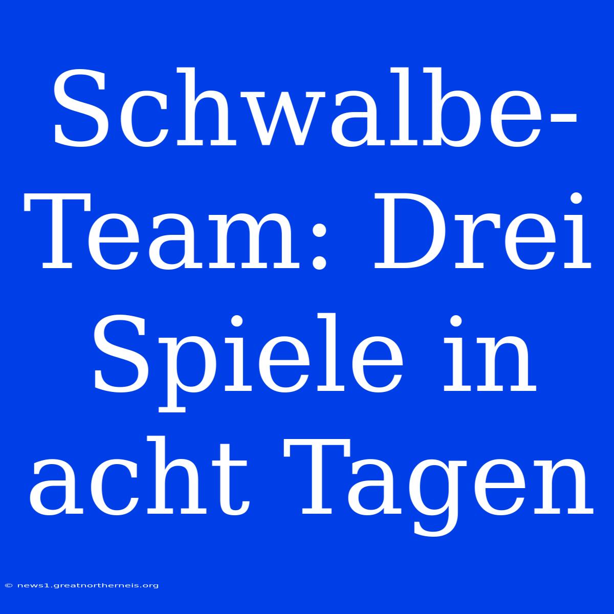 Schwalbe-Team: Drei Spiele In Acht Tagen