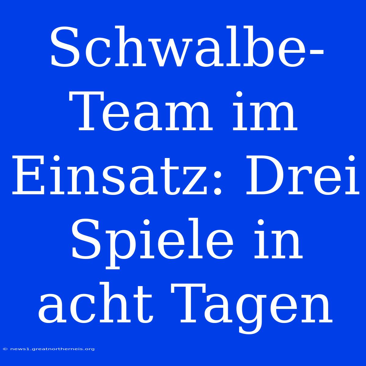 Schwalbe-Team Im Einsatz: Drei Spiele In Acht Tagen