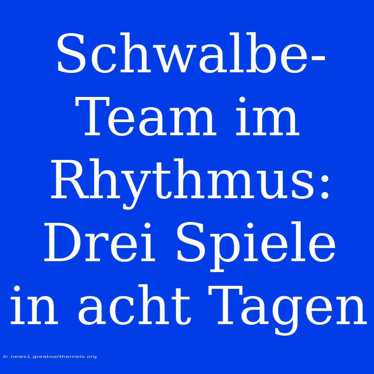 Schwalbe-Team Im Rhythmus: Drei Spiele In Acht Tagen