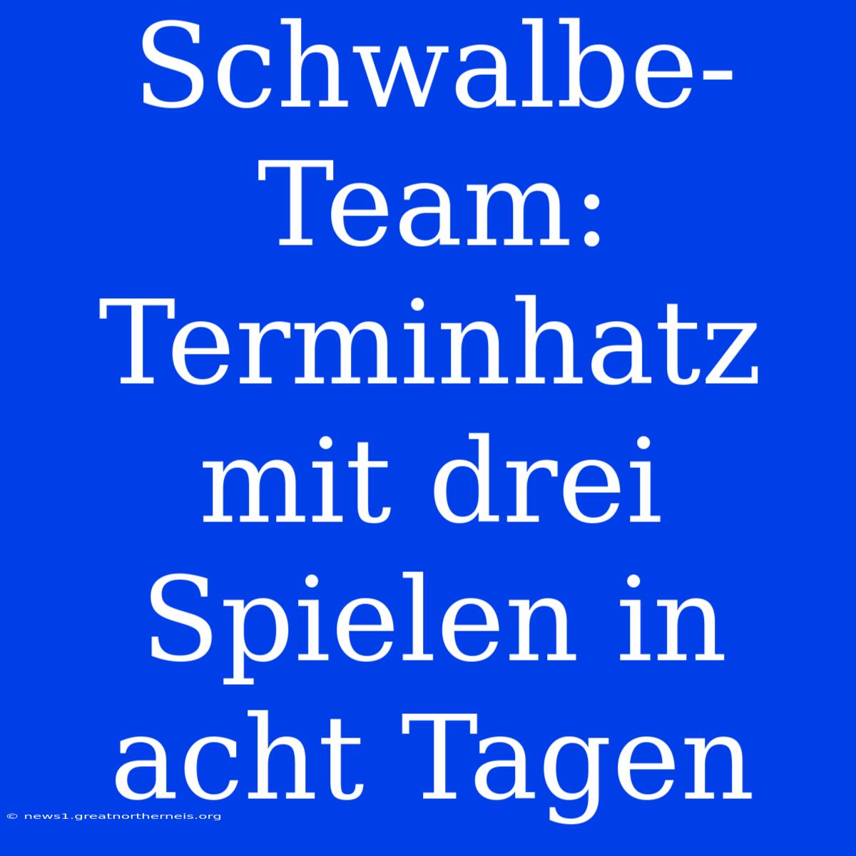 Schwalbe-Team: Terminhatz Mit Drei Spielen In Acht Tagen