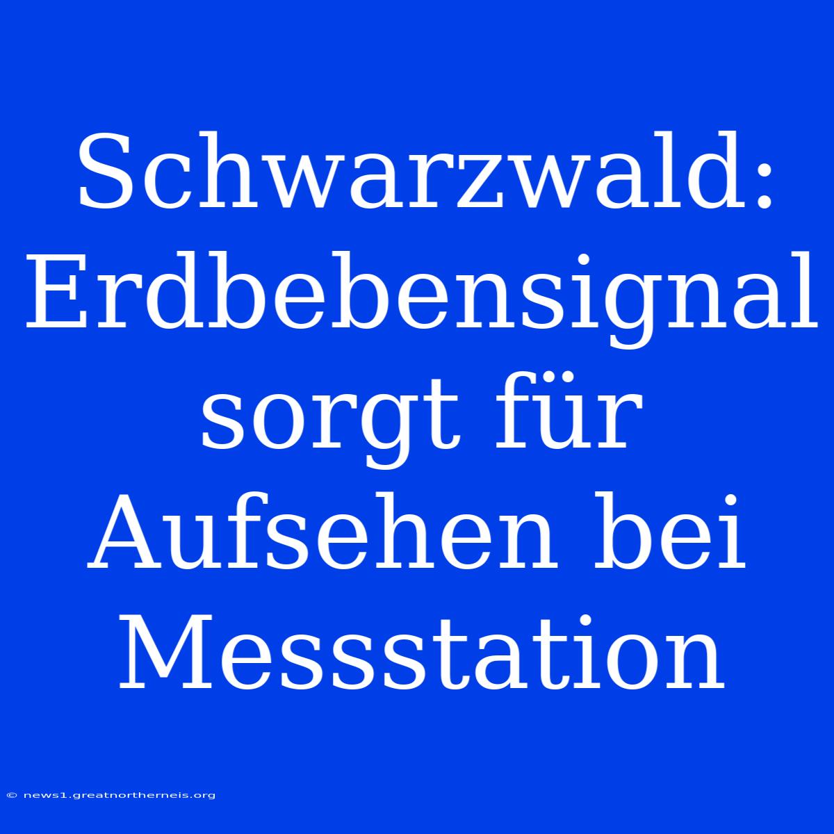 Schwarzwald: Erdbebensignal Sorgt Für Aufsehen Bei Messstation