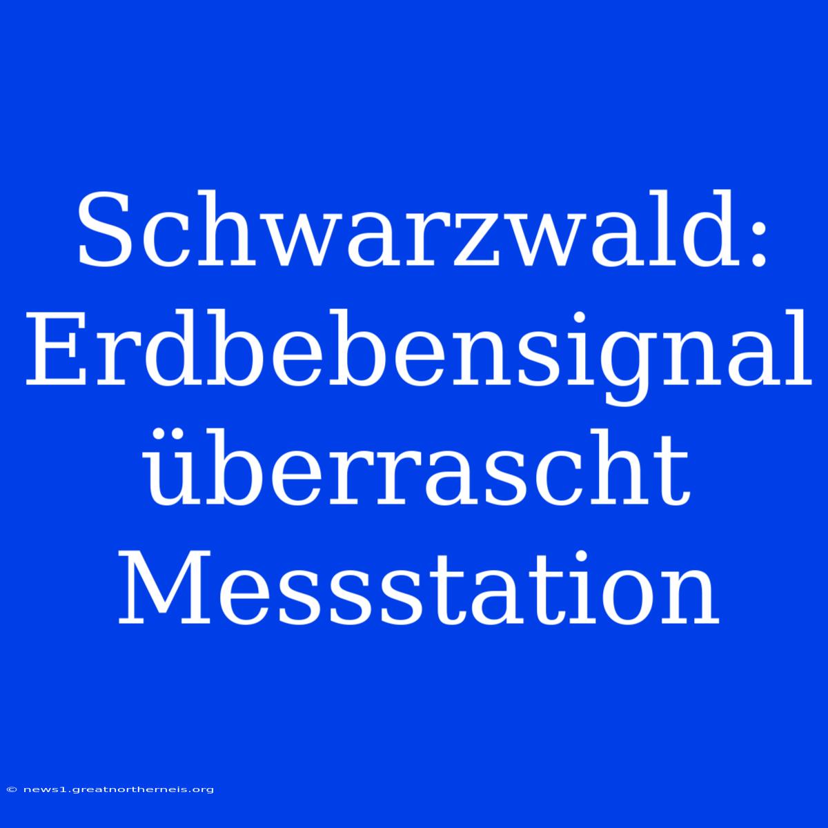 Schwarzwald: Erdbebensignal Überrascht Messstation