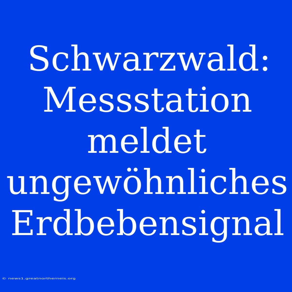 Schwarzwald: Messstation Meldet Ungewöhnliches Erdbebensignal