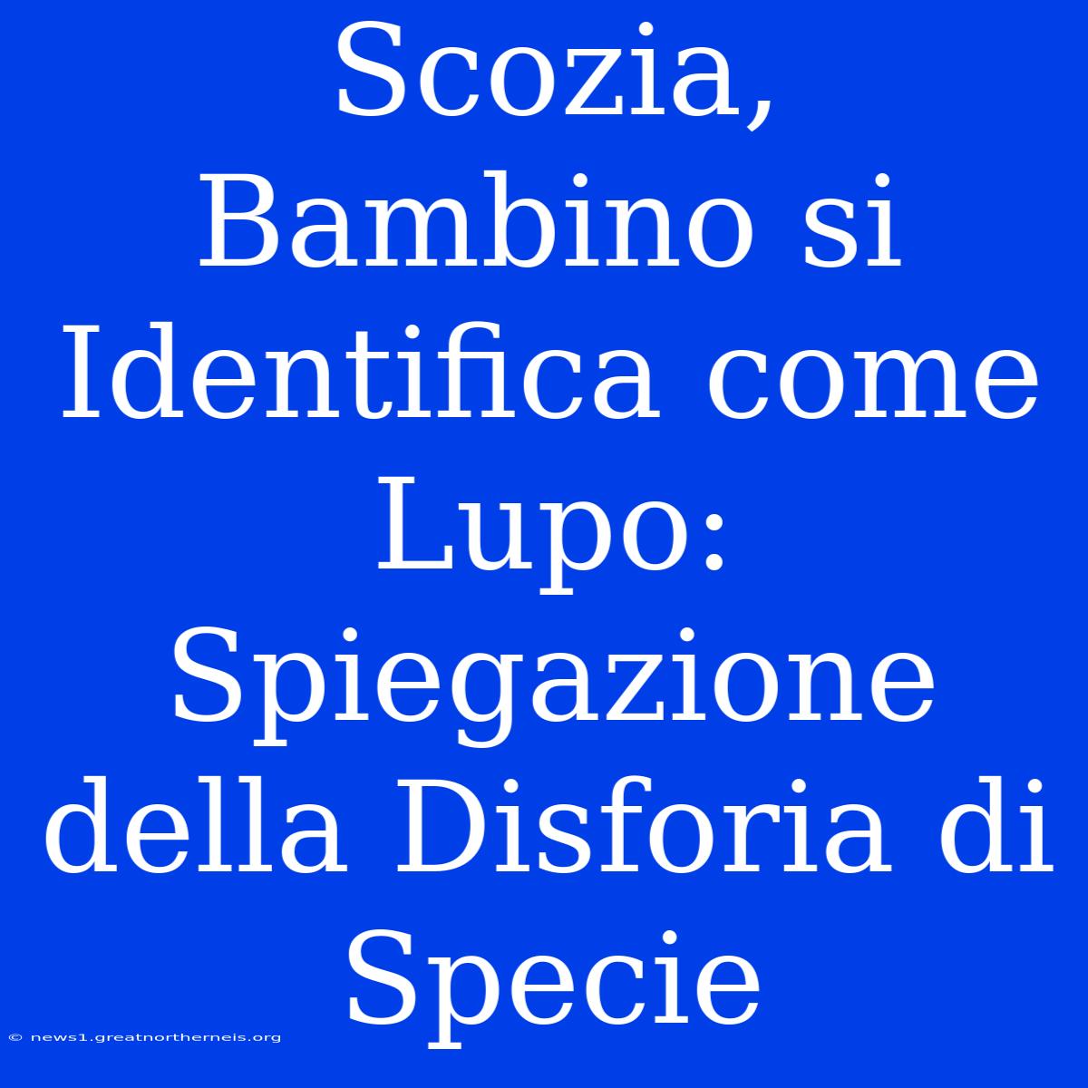 Scozia, Bambino Si Identifica Come Lupo: Spiegazione Della Disforia Di Specie