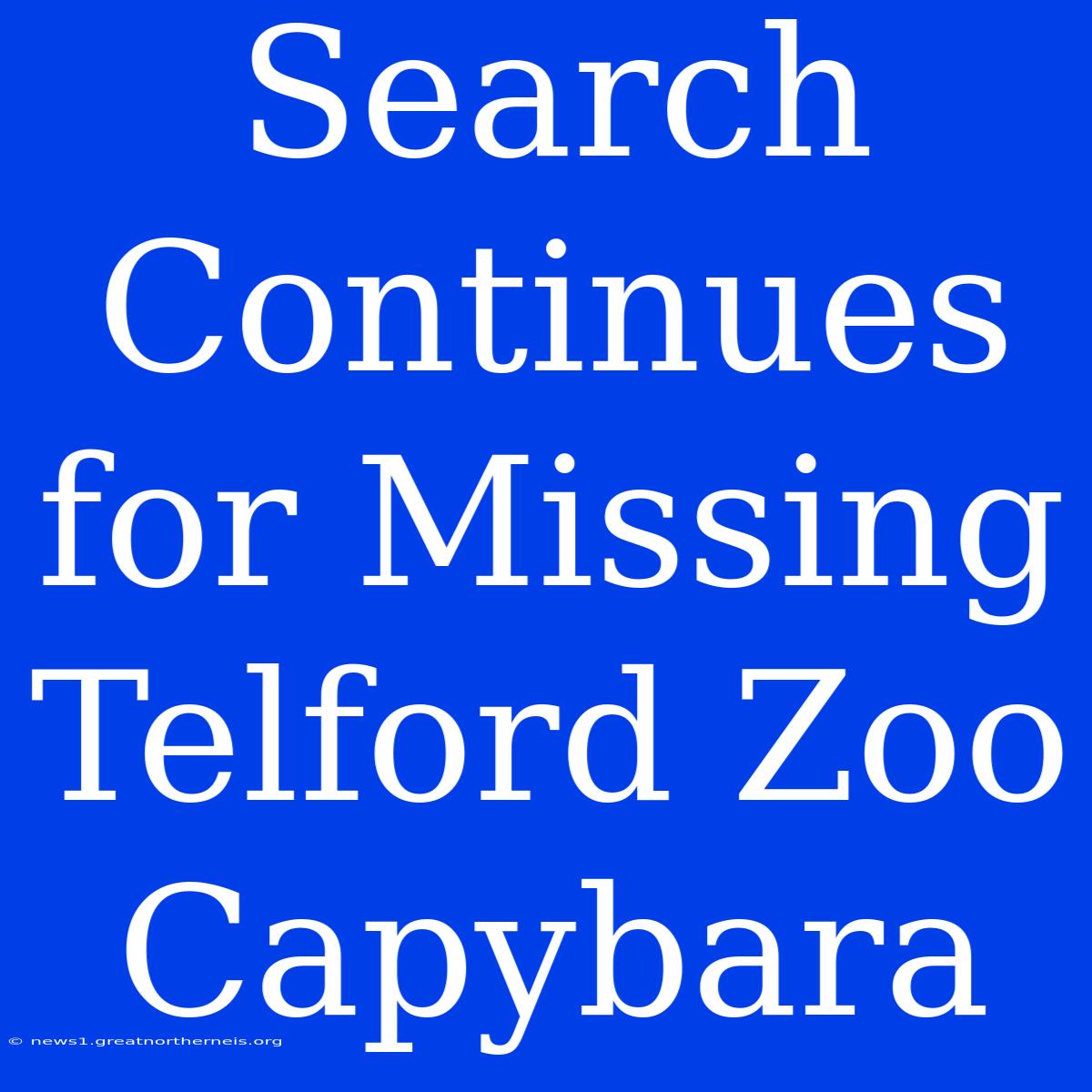 Search Continues For Missing Telford Zoo Capybara