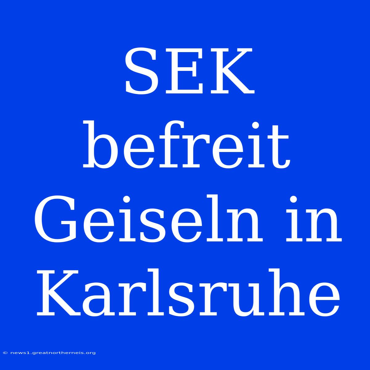 SEK Befreit Geiseln In Karlsruhe